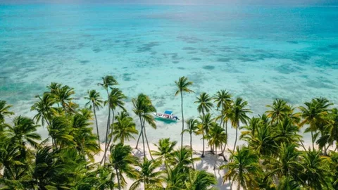 Saona Island coast with palm trees and an excursion boat