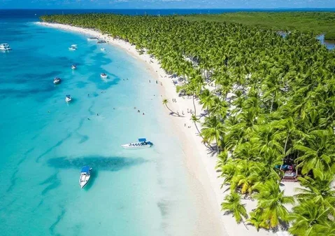 Palm-lined Saona Island shoreline with excursion boats