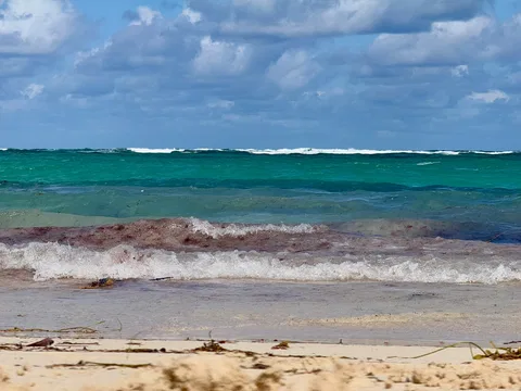 Playa Bávaro coastline on a photographed day in December 2024, not a current swim-safety report