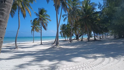 Cap Cana Guide: Beaches, Location, Resorts and Visitor Access