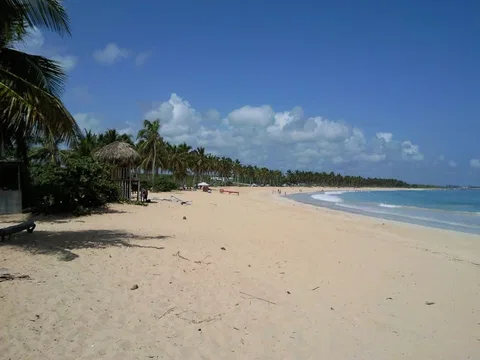 Palm-lined public Playa Macao beach, photographed in 2013