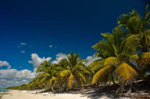 Coastline of Catalina Island near La Romana in a historical 2011 photograph