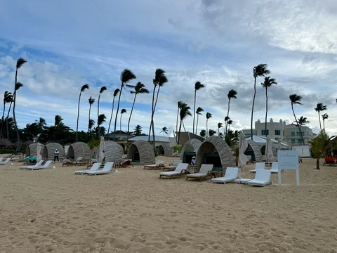 Punta Cana Seaweed and Sargassum Guide