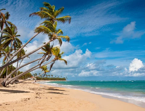 Uvero Alto Area Guide: Beach, Location and Getting Around