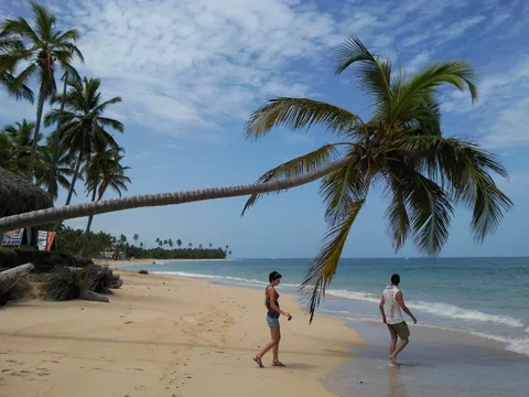 Uvero Alto beach with palms and ocean waves in a historical 2013 photograph