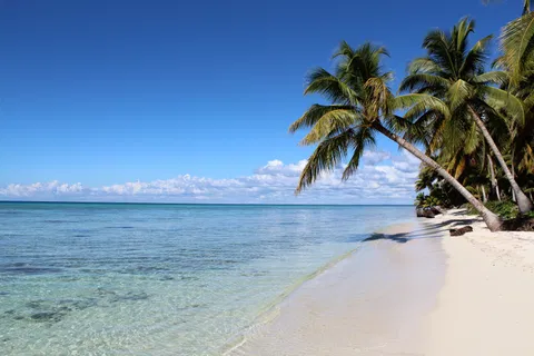 Palm-lined beach and turquoise Caribbean waters on Saona Island, La Altagracia province