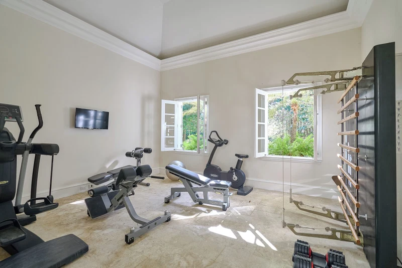 A home gym with exercise equipment, a television, and windows with a view of greenery.
