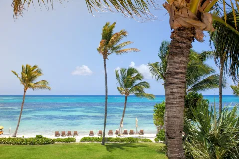 Palm-lined beach and clear water shown in the Tortuga Bay Hotel listing