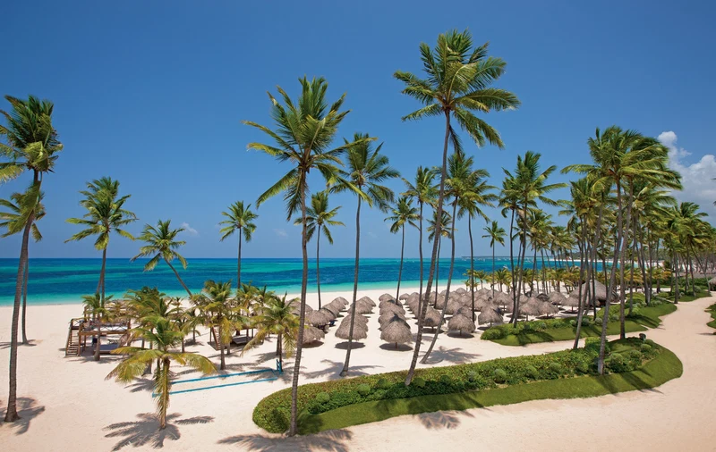 A beach with palm trees, a clear blue sky, and a sandy shore.
