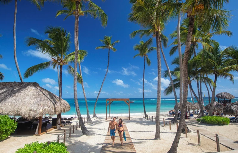 A beach with palm trees, a thatched-roof structure, and a wooden walkway.