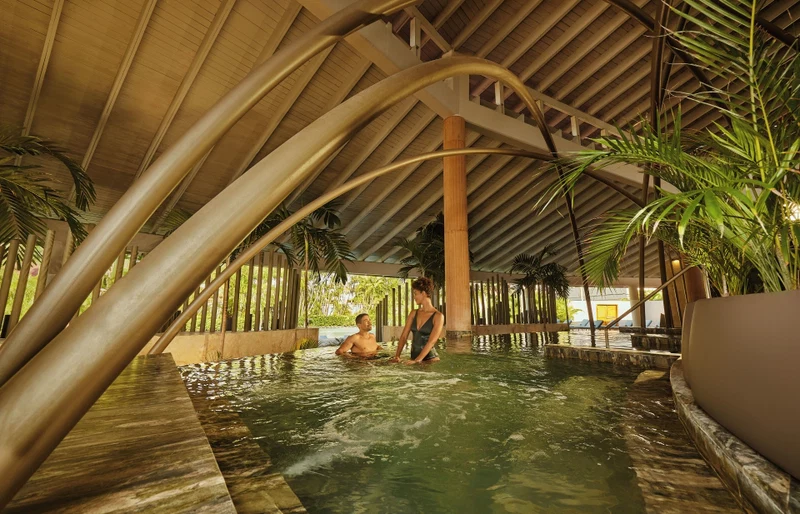 An indoor swimming pool with a wooden ceiling and palm trees.