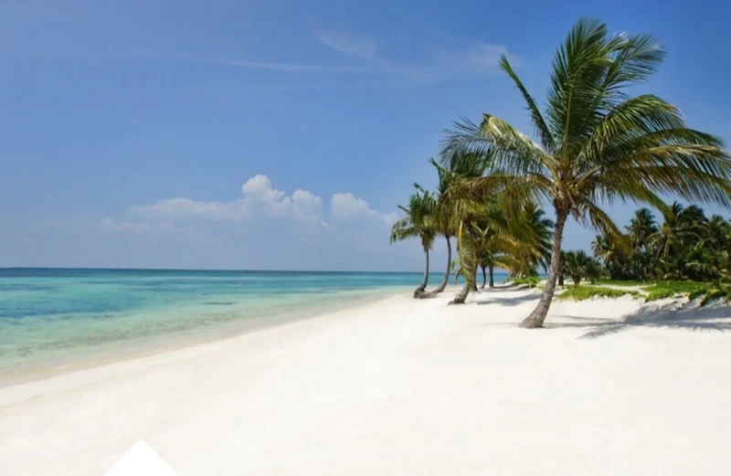 Luxury Villa with Private Pool, Cook,Maid & Golf Cart in Exclusive Punta Cana