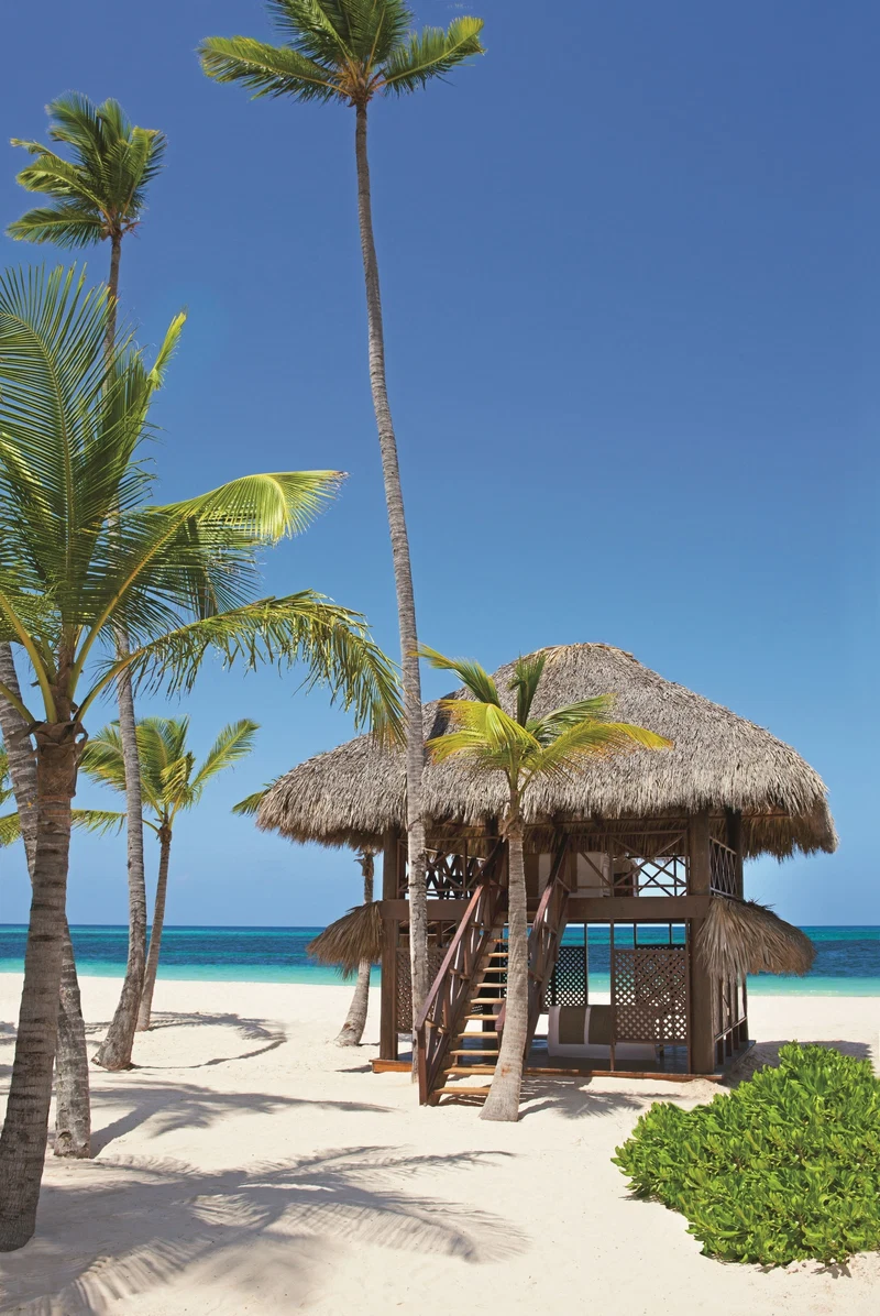 A beach hut with a thatched roof, surrounded by palm trees, on a sandy beach with clear blue water in the background.