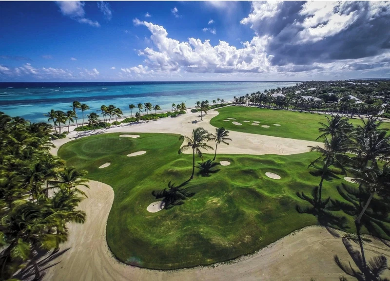 A golf course with a beach and palm trees.