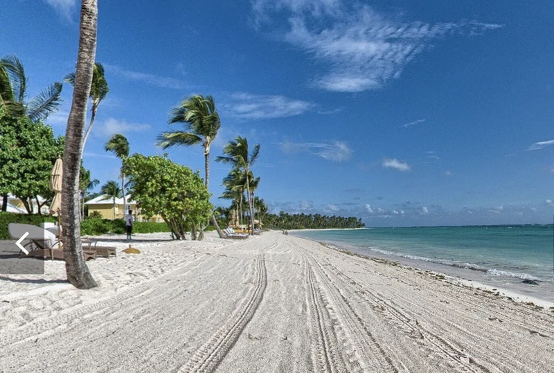 A beach with a clear sky, palm trees, and a sandy path leading to the water.