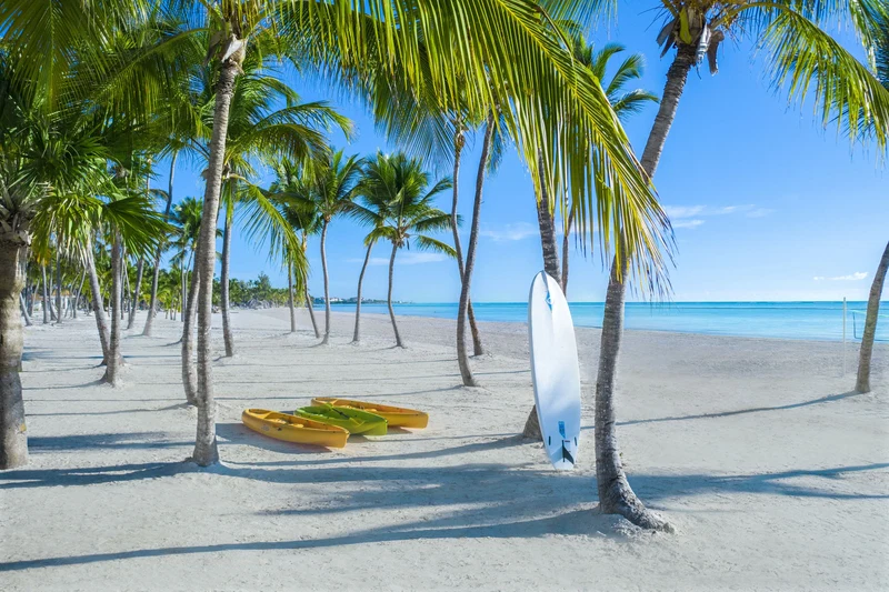 A beach with palm trees, a surfboard, and a row of yellow kayaks.