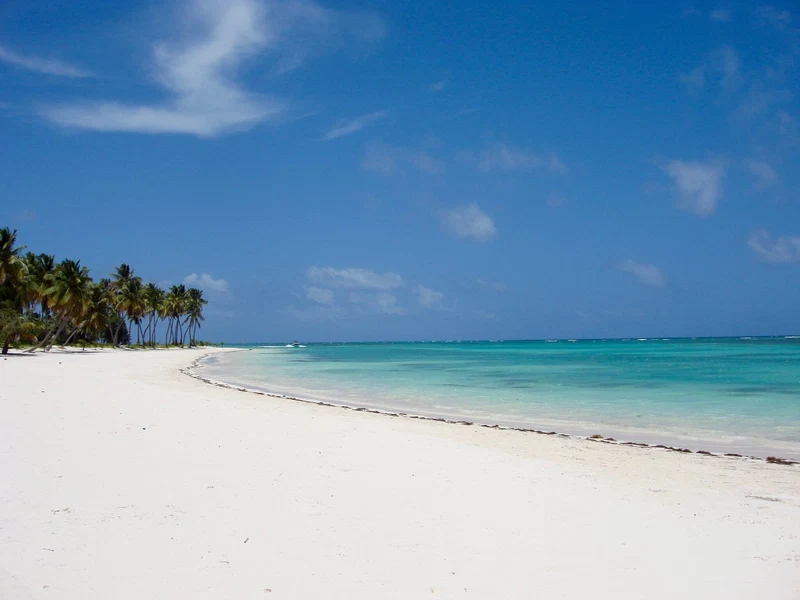 A beach with white sand and palm trees under a clear blue sky.