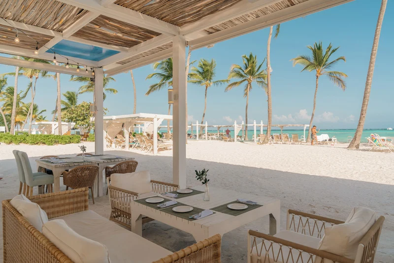 A beachside restaurant with outdoor seating, palm trees, and a view of the ocean.