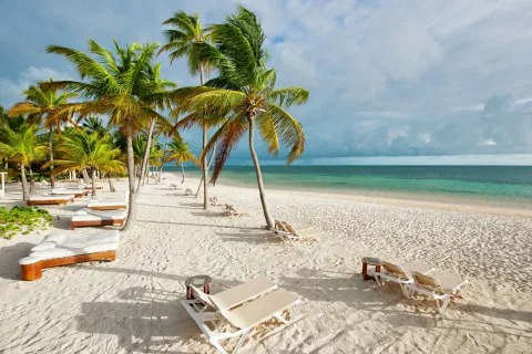 Beachfront palms at Catalonia Punta Cana - All Inclusive in Cabeza de Toro