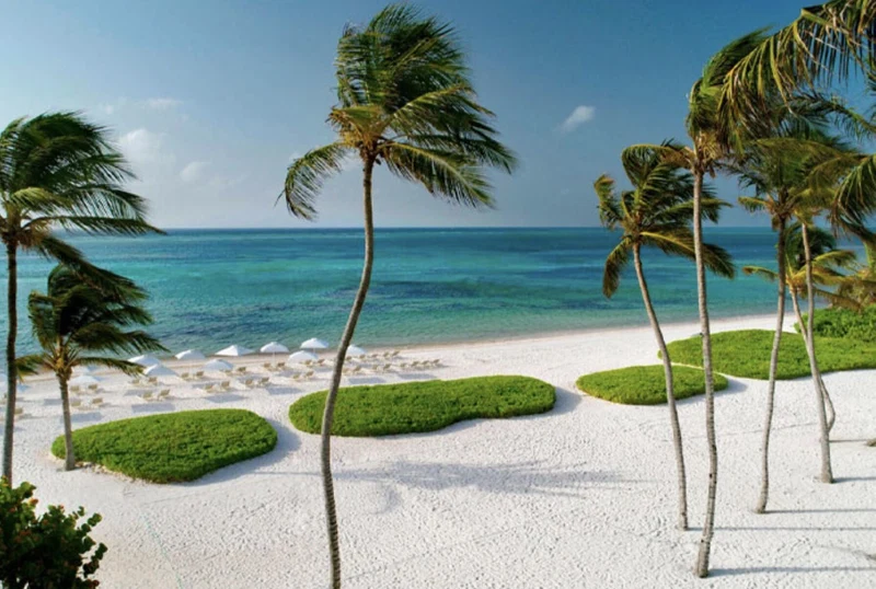A beach with white sand, palm trees, and a clear blue sea.