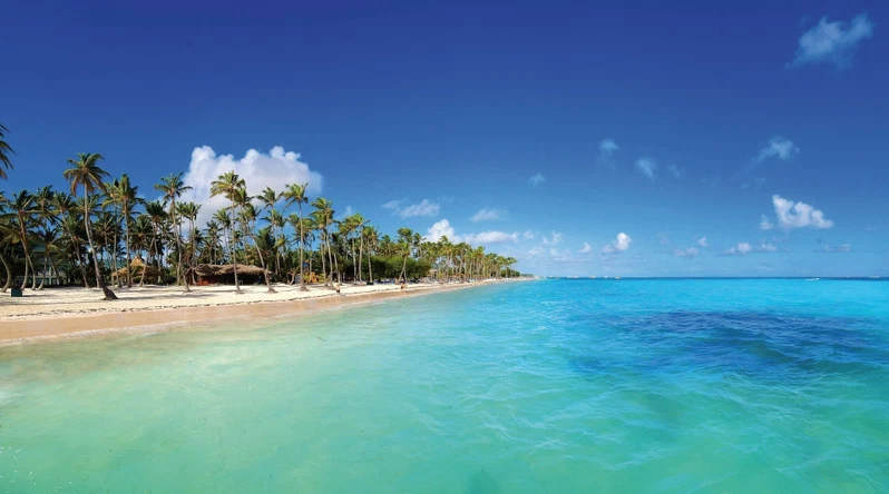 A beach with clear turquoise water, palm trees, and a sandy shore.