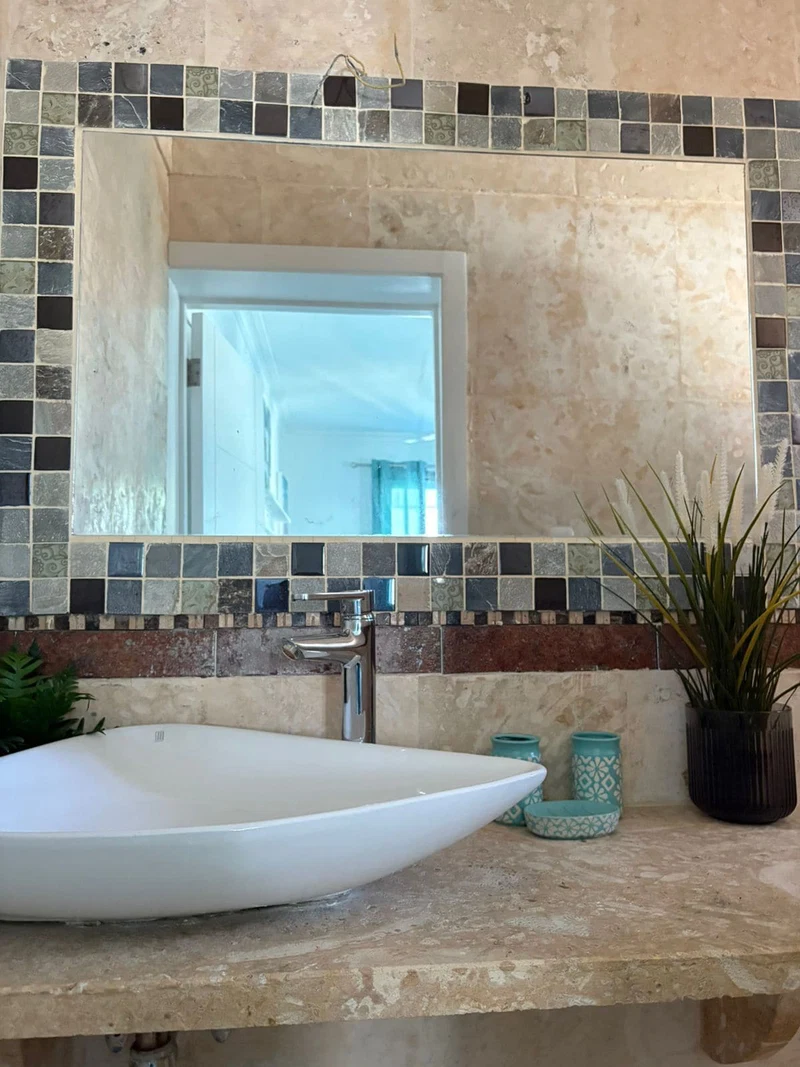 A bathroom with a large white vessel sink, a mirror with a mosaic tile border, and a potted plant on the counter.