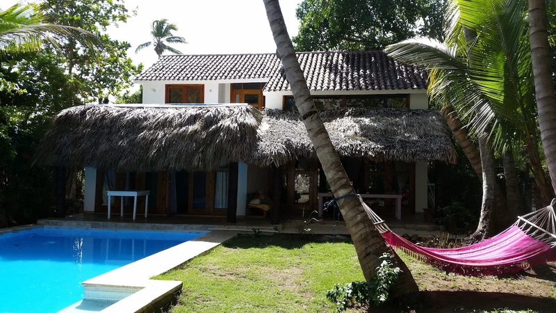 A house with a thatched roof, a swimming pool, and a hammock.