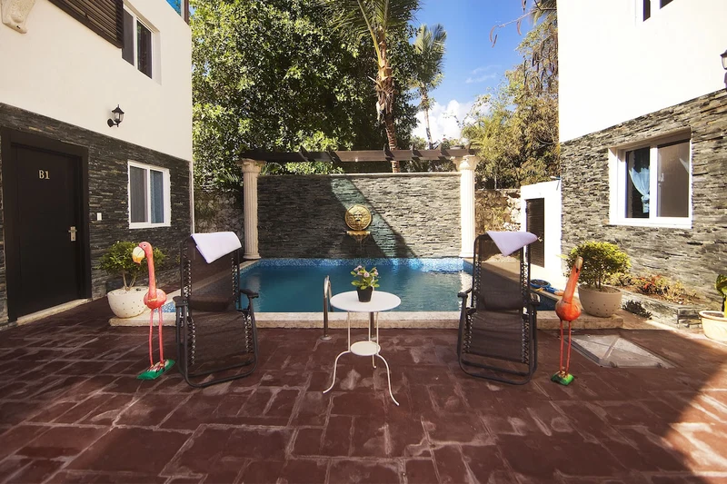 A patio area with a pool, two chairs, and two flamingo statues.