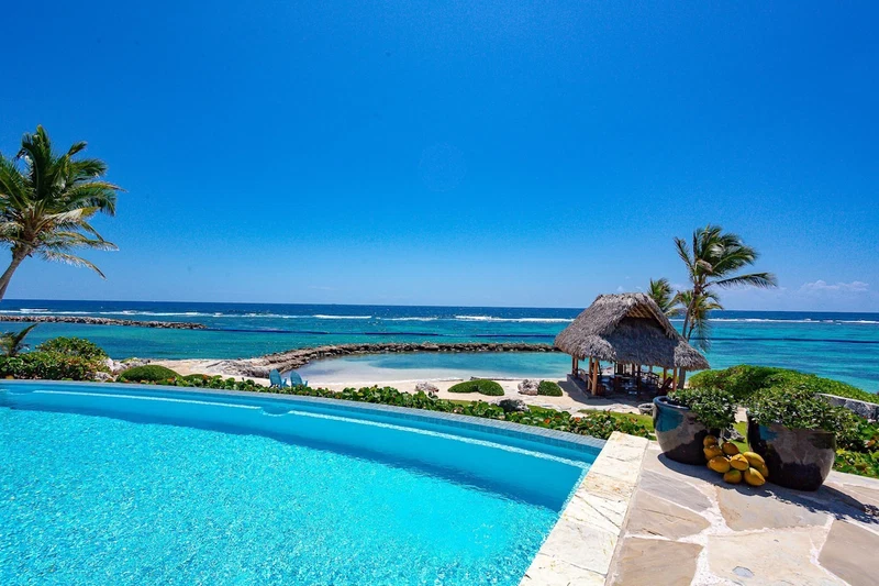 A pool with a view of the ocean, a thatched-roof structure, and palm trees.